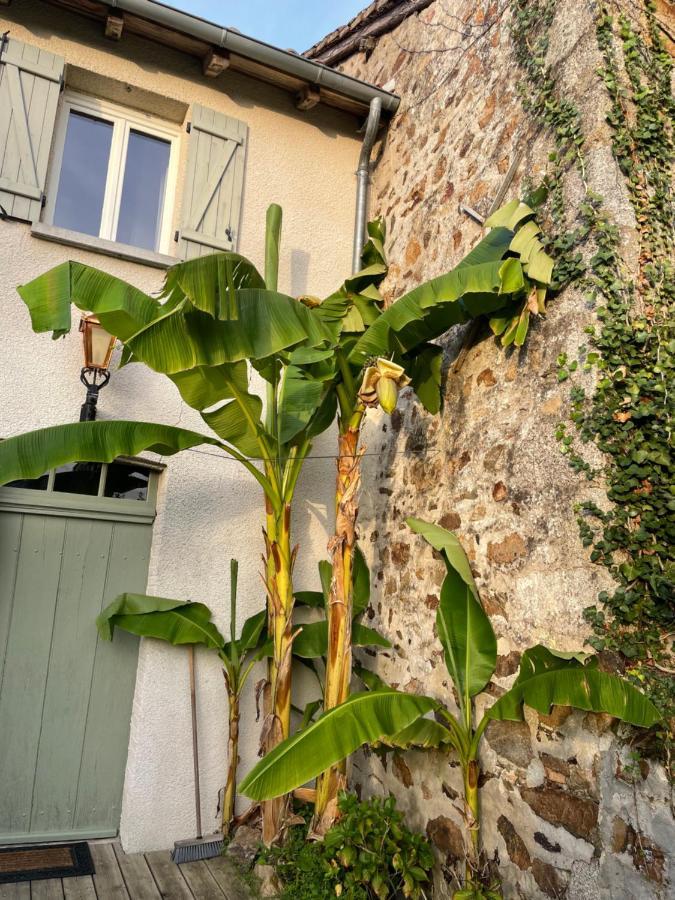 Maison Hirondelles Gites Mezieres-sur-Issoire Zewnętrze zdjęcie